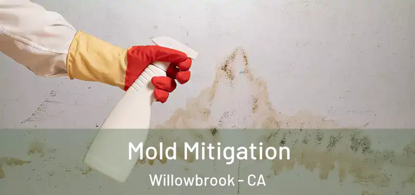 Mold Mitigation Willowbrook - CA