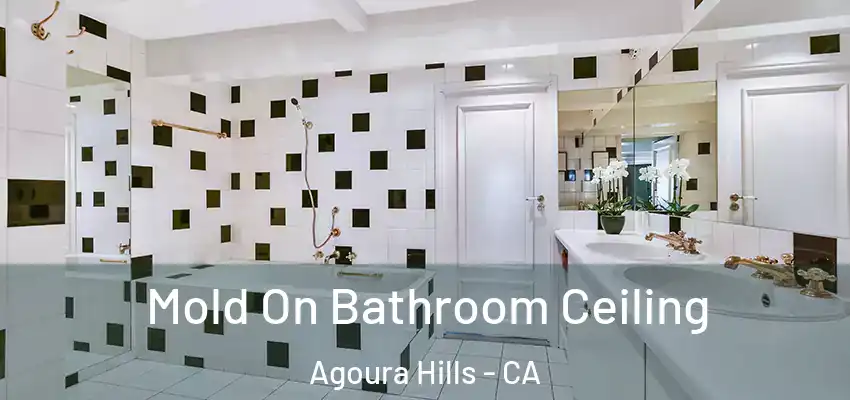  Mold On Bathroom Ceiling Agoura Hills - CA