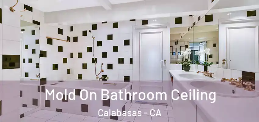  Mold On Bathroom Ceiling Calabasas - CA