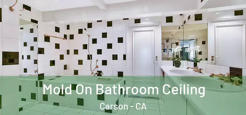 Mold On Bathroom Ceiling Carson - CA