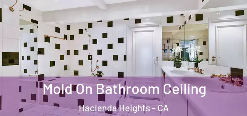 Mold On Bathroom Ceiling Hacienda Heights - CA