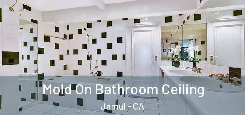 Mold On Bathroom Ceiling Jamul - CA