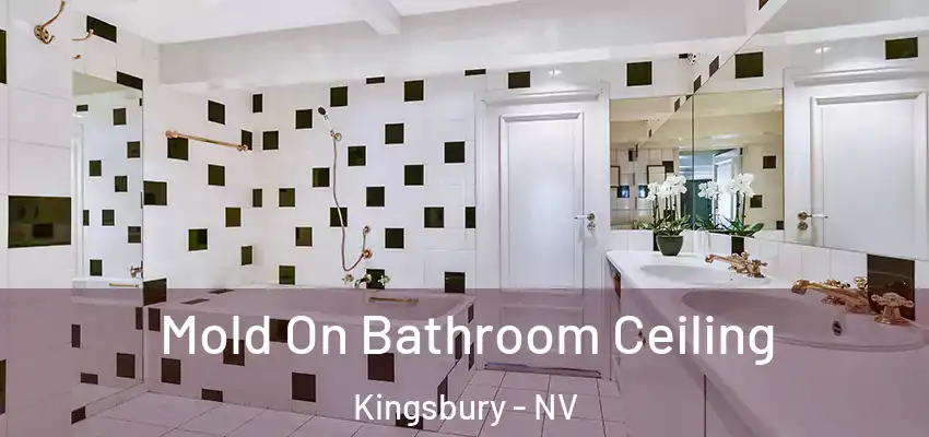  Mold On Bathroom Ceiling Kingsbury - NV