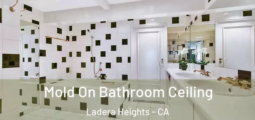 Mold On Bathroom Ceiling Ladera Heights - CA