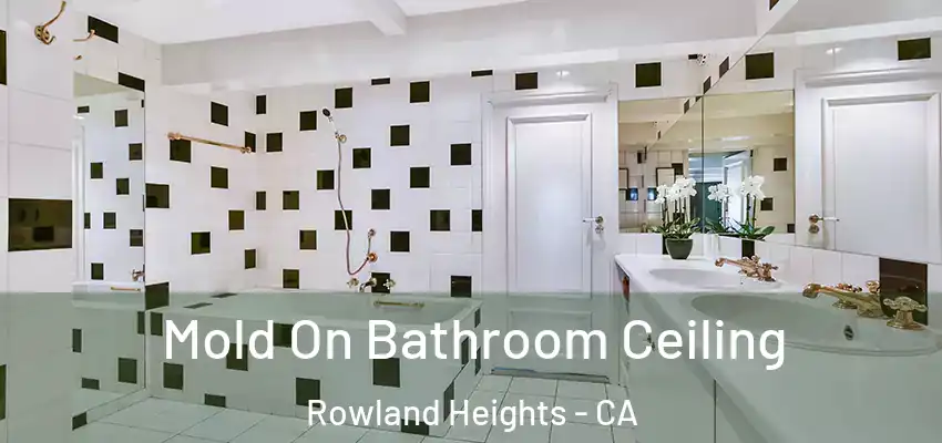  Mold On Bathroom Ceiling Rowland Heights - CA