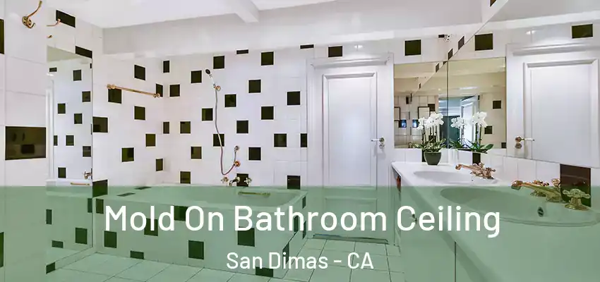  Mold On Bathroom Ceiling San Dimas - CA