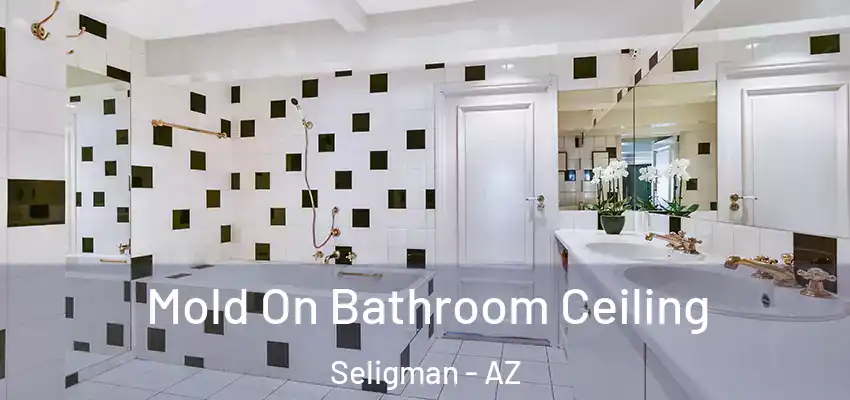  Mold On Bathroom Ceiling Seligman - AZ