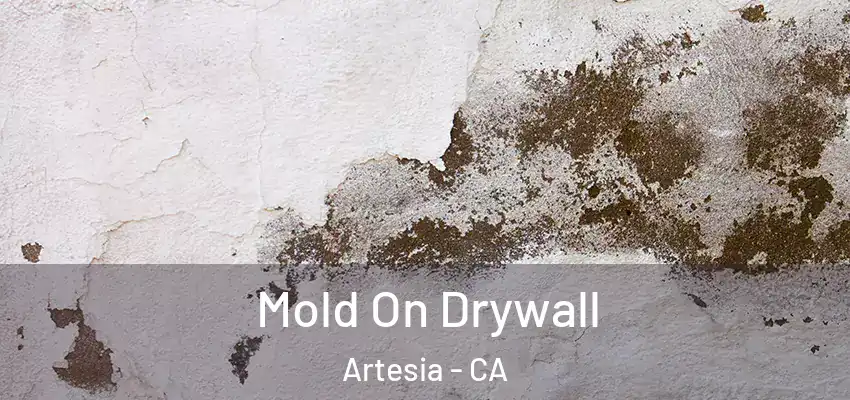  Mold On Drywall Artesia - CA