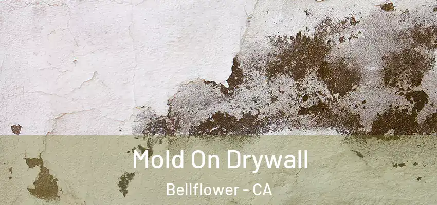  Mold On Drywall Bellflower - CA
