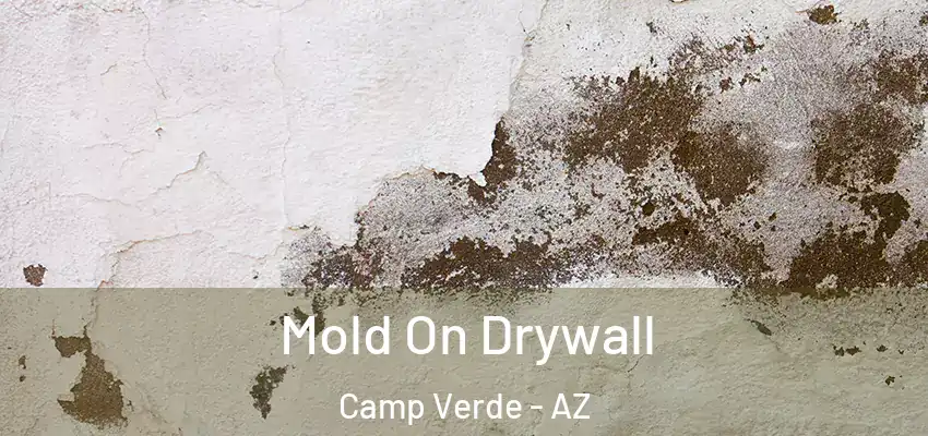 Mold On Drywall Camp Verde - AZ