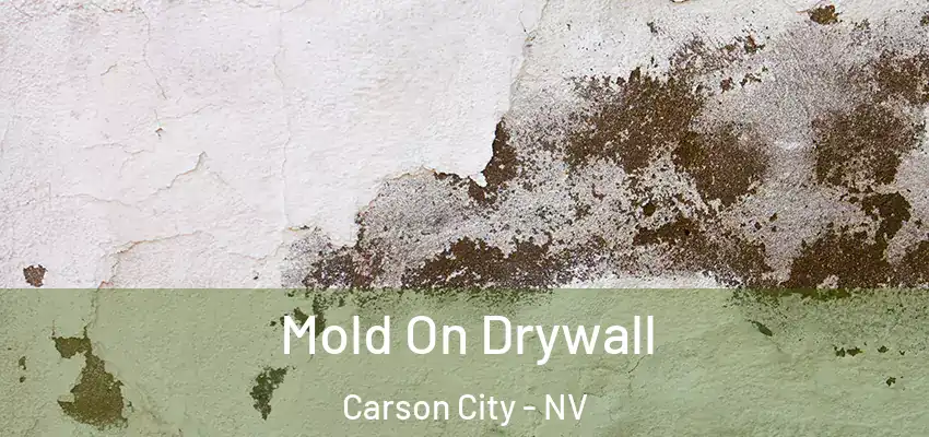  Mold On Drywall Carson City - NV