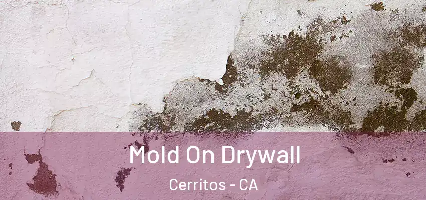 Mold On Drywall Cerritos - CA