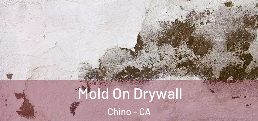  Mold On Drywall Chino - CA
