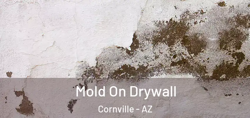  Mold On Drywall Cornville - AZ