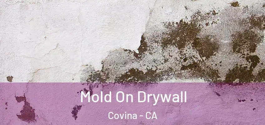 Mold On Drywall Covina - CA