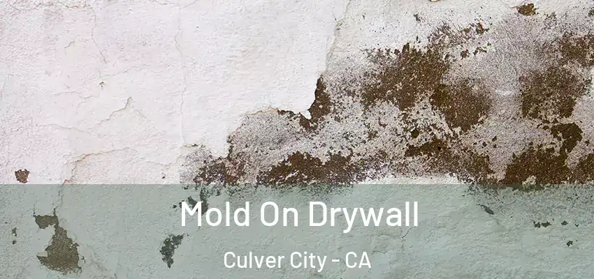  Mold On Drywall Culver City - CA