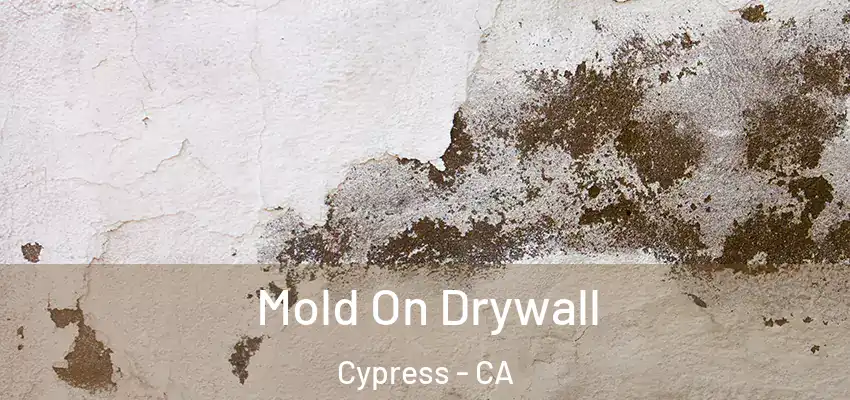  Mold On Drywall Cypress - CA