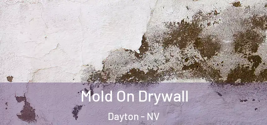 Mold On Drywall Dayton - NV