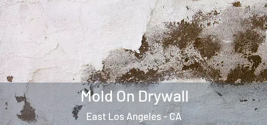  Mold On Drywall East Los Angeles - CA