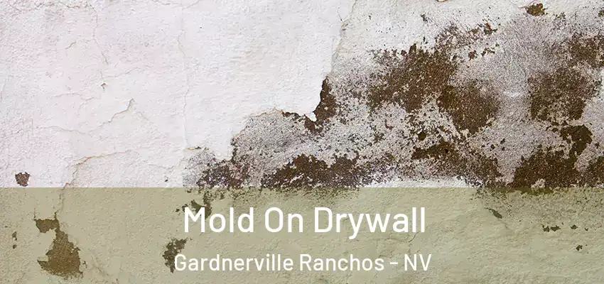  Mold On Drywall Gardnerville Ranchos - NV