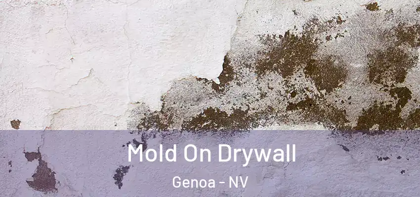  Mold On Drywall Genoa - NV