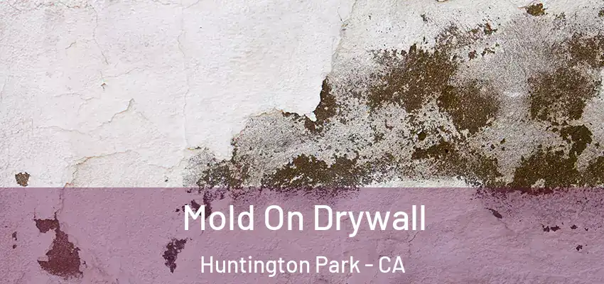 Mold On Drywall Huntington Park - CA