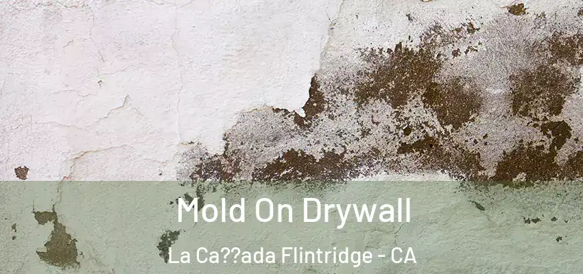 Mold On Drywall La Ca??ada Flintridge - CA