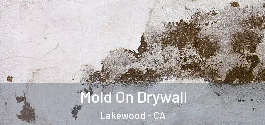  Mold On Drywall Lakewood - CA