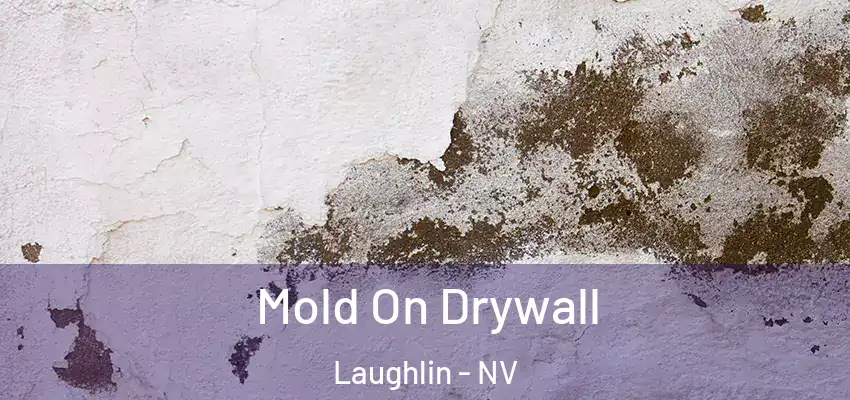 Mold On Drywall Laughlin - NV
