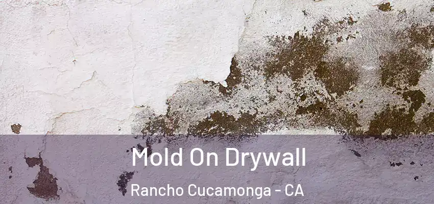  Mold On Drywall Rancho Cucamonga - CA