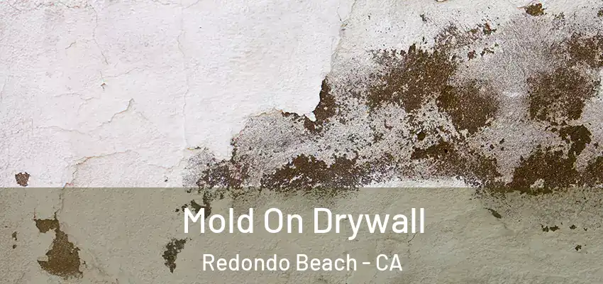  Mold On Drywall Redondo Beach - CA
