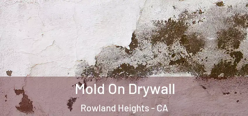  Mold On Drywall Rowland Heights - CA