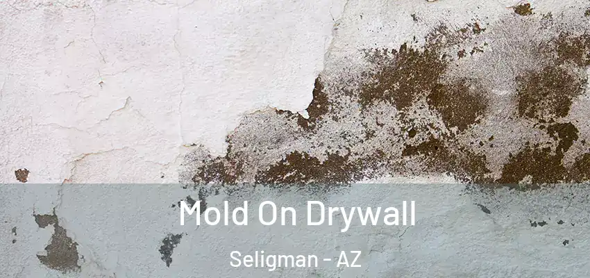 Mold On Drywall Seligman - AZ