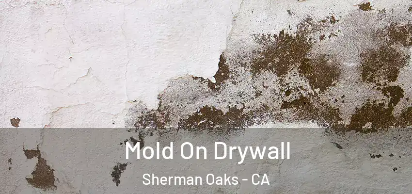  Mold On Drywall Sherman Oaks - CA