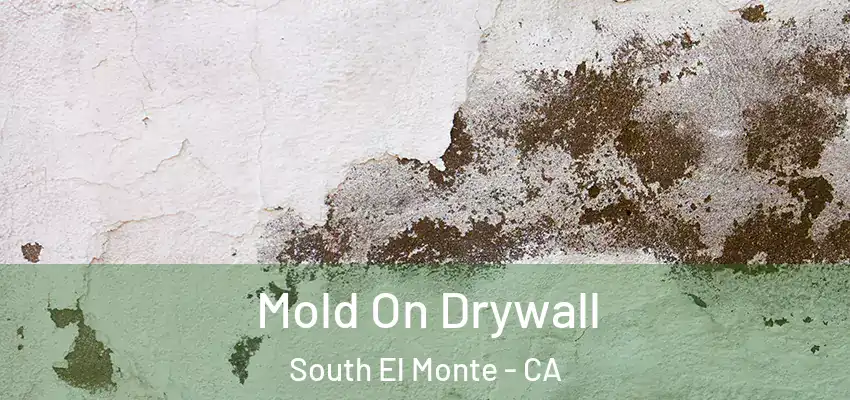  Mold On Drywall South El Monte - CA