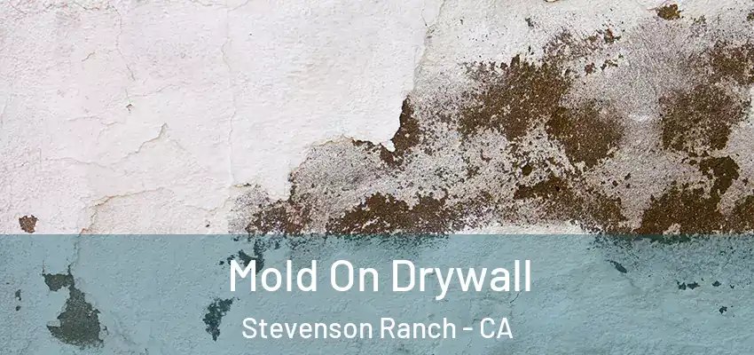  Mold On Drywall Stevenson Ranch - CA