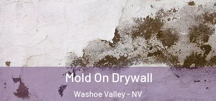  Mold On Drywall Washoe Valley - NV