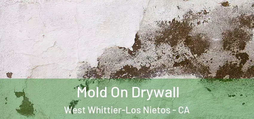 Mold On Drywall West Whittier-Los Nietos - CA