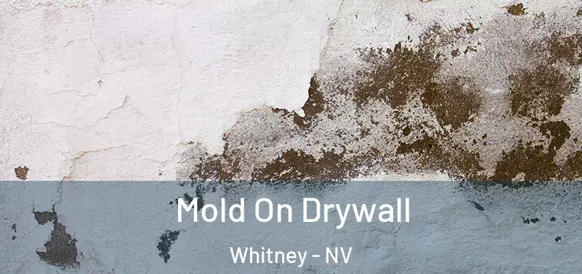  Mold On Drywall Whitney - NV