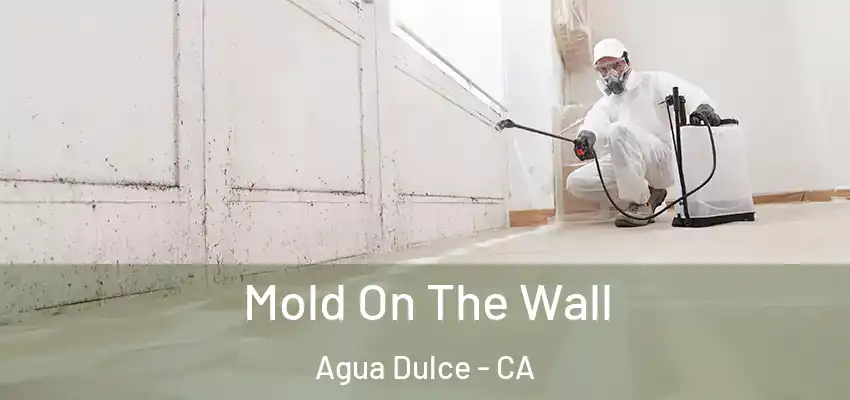  Mold On The Wall Agua Dulce - CA