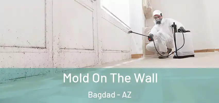 Mold On The Wall Bagdad - AZ