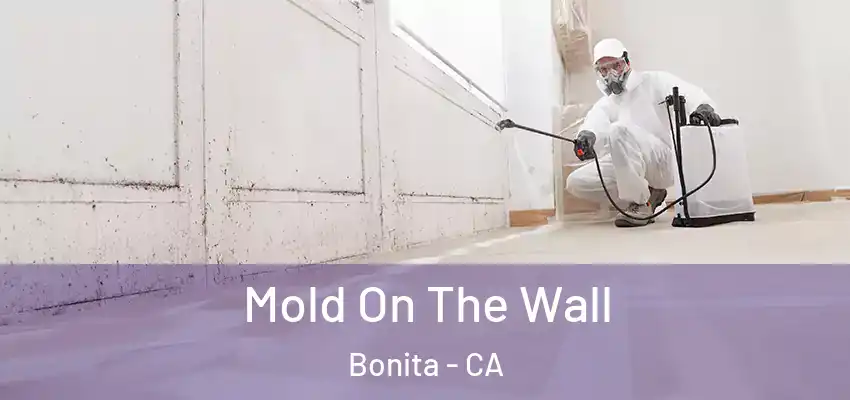  Mold On The Wall Bonita - CA