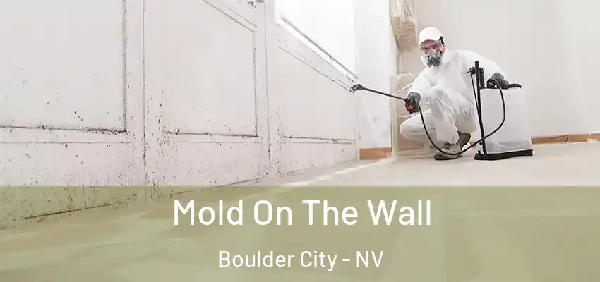  Mold On The Wall Boulder City - NV