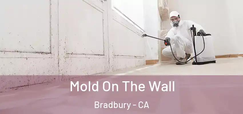 Mold On The Wall Bradbury - CA