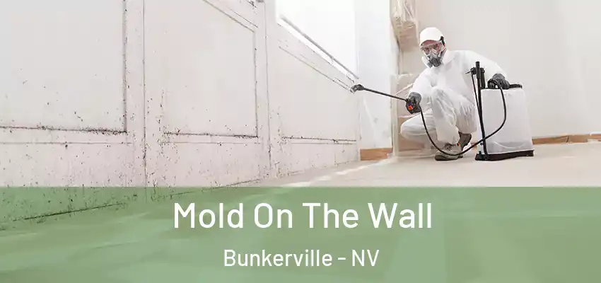  Mold On The Wall Bunkerville - NV