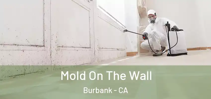 Mold On The Wall Burbank - CA