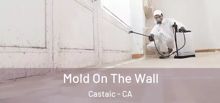 Mold On The Wall Castaic - CA