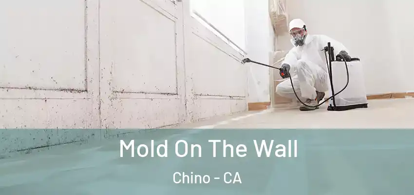  Mold On The Wall Chino - CA