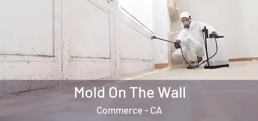  Mold On The Wall Commerce - CA