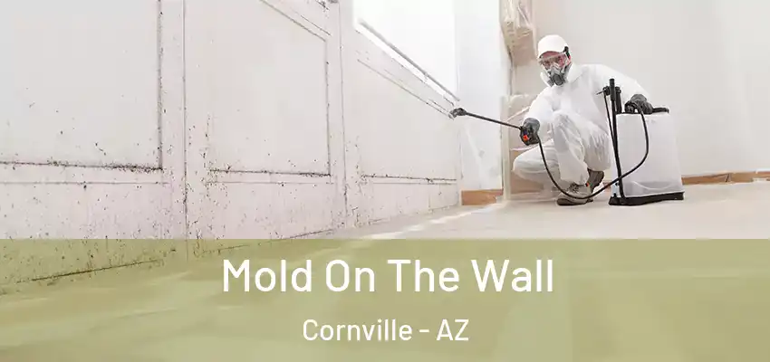 Mold On The Wall Cornville - AZ